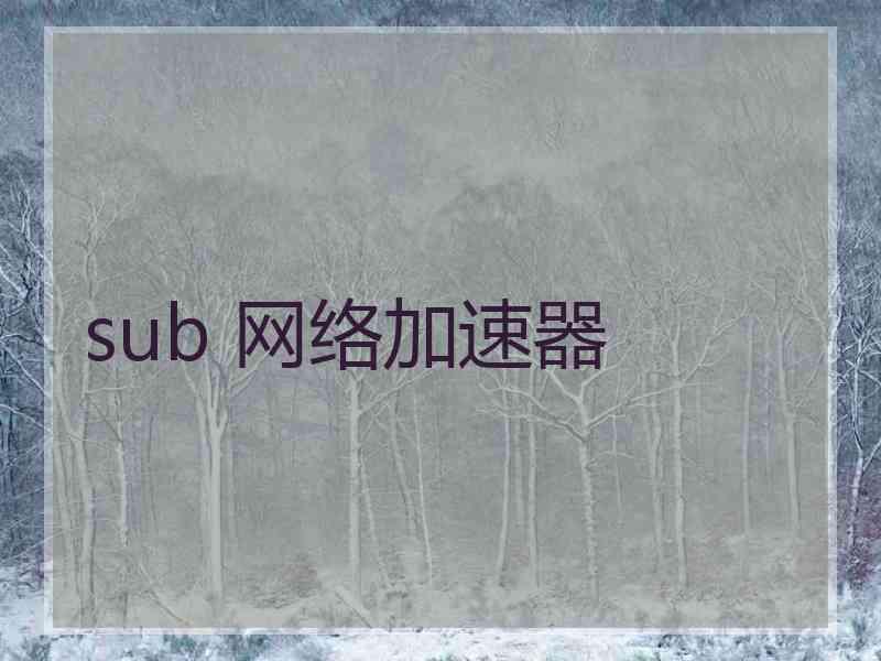 sub 网络加速器